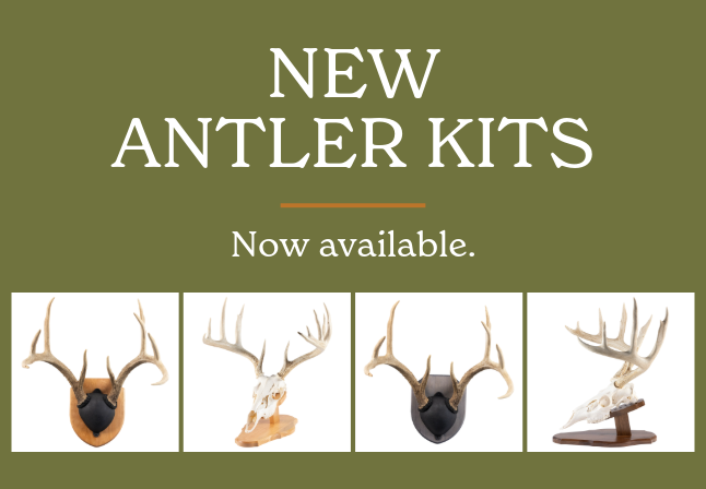 2024_New Antler Kits