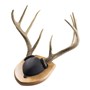 Walnut-Hollow-Country_Antler-Mount-Cover-Black_573214_LS02