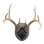 Walnut-Hollow_Rustic-Pine-Antler-Mount-Kit_537779_LS01