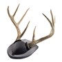 Walnut-Hollow_Rustic-Pine-Antler-Mount-Kit_537779_LS03