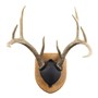 Walnut-Hollow_Solid-Cherry-Antler-Mount-Kit_537780_LS01