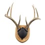 Walnut-Hollow_Solid-Cherry-Antler-Mount-Kit_537780_LS02