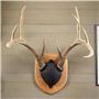 Walnut-Hollow_Solid-Cherry-Antler-Mount-Kit_537780_LS04