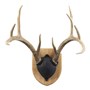 Walnut-Hollow_Solid-Oak-Antler-Mount-Kit_537776_LS01