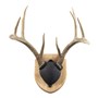 Walnut-Hollow_Solid-Oak-Antler-Mount-Kit_537776_LS02