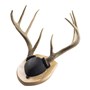 Walnut-Hollow_Solid-Oak-Antler-Mount-Kit_537776_LS03