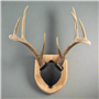 Walnut-Hollow_Solid-Oak-Antler-Mount-Kit_537776_LS04