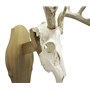 Walnut-Hollow_Solid-Oak-Euro-Mount-Kit_537772_LS06