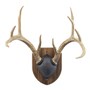 Walnut-Hollow_Solid-Walnut-Antler-Mount-Kit_537778_LS01