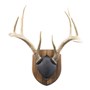 Walnut-Hollow_Solid-Walnut-Antler-Mount-Kit_537778_LS02