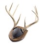 Walnut-Hollow_Solid-Walnut-Antler-Mount-Kit_537778_LS03