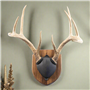 Walnut-Hollow_Solid-Walnut-Antler-Mount-Kit_537778_LS04