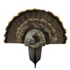 Rustic Turkey Display Kit, King of Spring