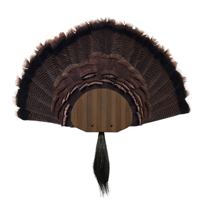 Turkey Mounting Kit, Brown | Walnut Hollow - Country