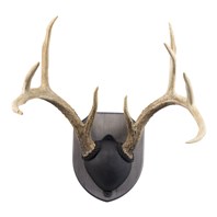 Solid Pine Antler Mount Kit