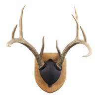 Solid Cherry Antler Mount Kit