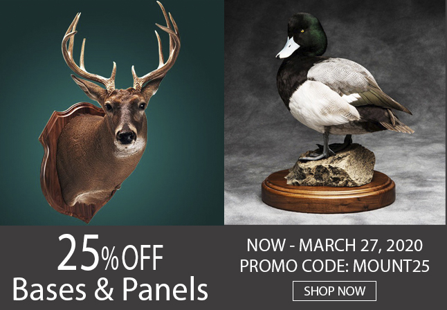 Taxidermy and Country Art Products | Walnut Hollow - Country